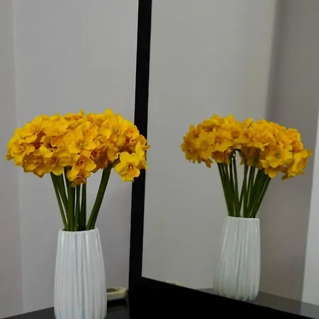 At Blloku Apartmán *